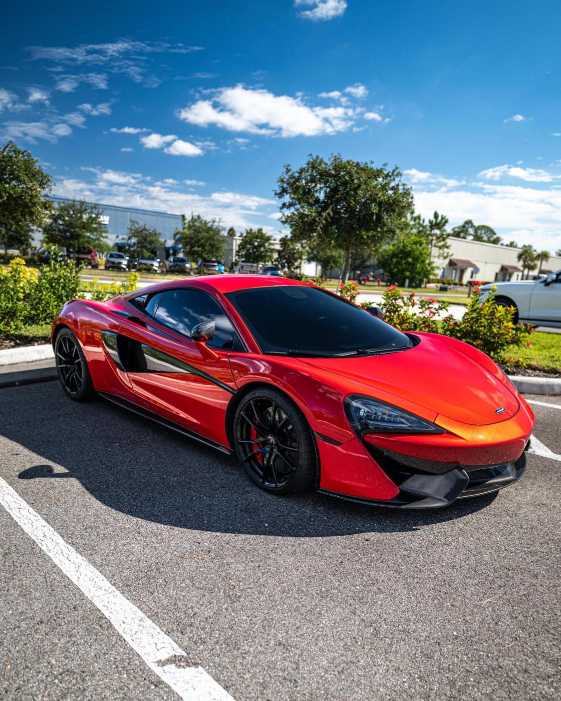 Vehicle paint protection