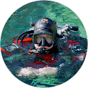 Tyler M. profile picture